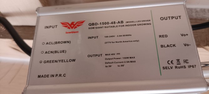 IMG_20250120_210030.jpg IMG_20250120_210030.jpg