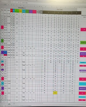 20250122_183020.jpg 20250122_183020.jpg