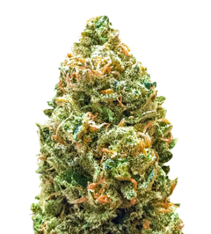 1737577780393.png 1737577780393.png