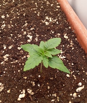 1000015451.jpg 1000015451.jpg