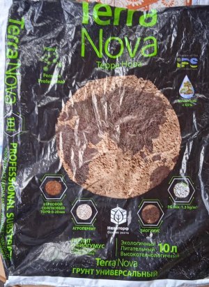 1000015477.jpg 1000015477.jpg