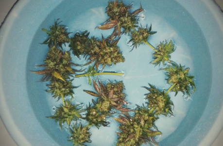 1738343592194.png 1738343592194.png