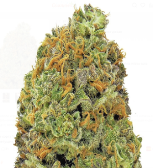 1738588392617.png 1738588392617.png