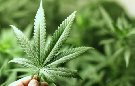 1738775633704.png 1738775633704.png