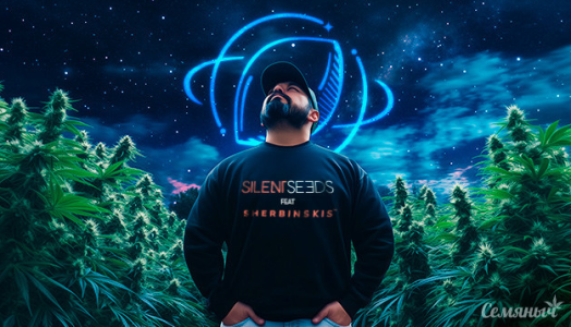 1738916037748.png 1738916037748.png