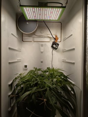 1000051023.jpg 1000051023.jpg