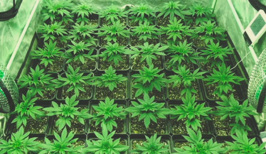 1740066832497.png 1740066832497.png