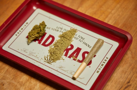 1740420125595.png 1740420125595.png