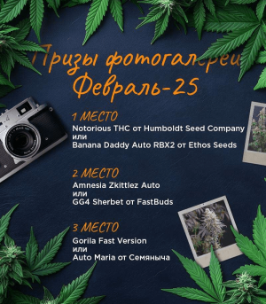 1740824816428.png 1740824816428.png