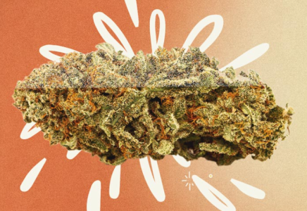 1740905700709.png 1740905700709.png