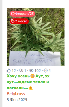 1740991185196.png 1740991185196.png