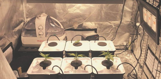 1741015129447.png 1741015129447.png