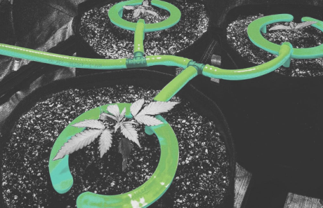 1741091715756.png 1741091715756.png