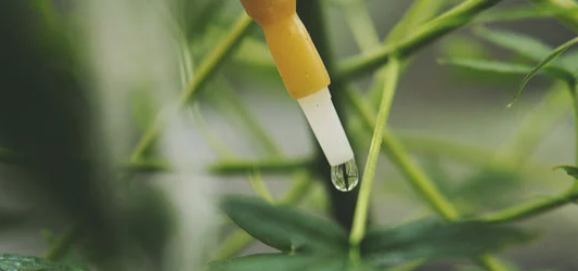 1741091855803.png 1741091855803.png