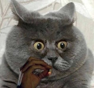 1726626220162670027.jpg 1726626220162670027.jpg