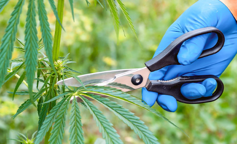 1742122094100.png 1742122094100.png