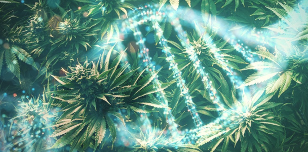 1742315596724.png 1742315596724.png