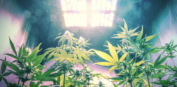 1742315637531.png 1742315637531.png