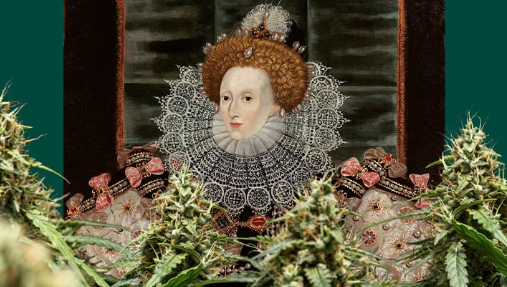 1742316916809.png 1742316916809.png