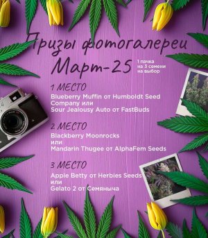 Призы-фотогалереи-Март.jpg Призы-фотогалереи-Март.jpg