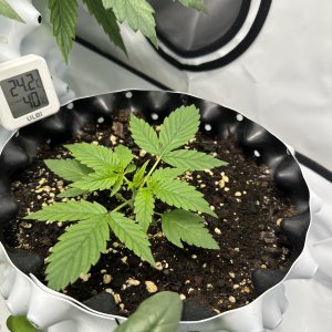 IMG_8941.jpeg IMG_8941.jpeg