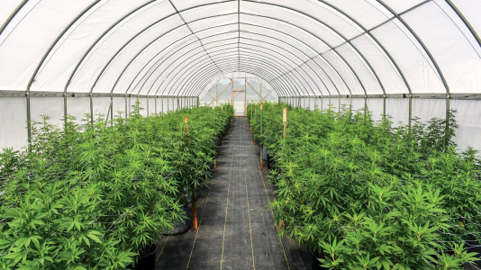 1743180991877.png 1743180991877.png