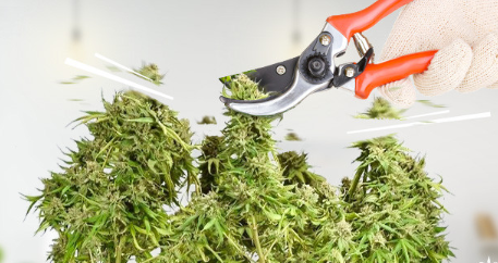 1743443576007.png 1743443576007.png