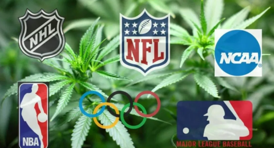 Снимок экрана 2025-03-31 175648.png