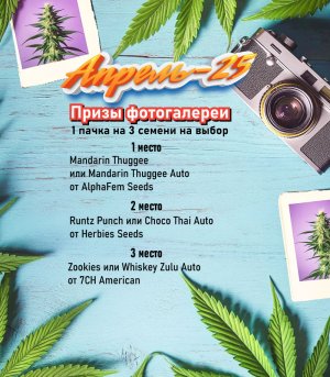 апрель.jpg апрель.jpg