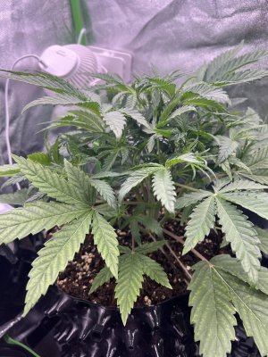 IMG_6300.jpeg IMG_6300.jpeg