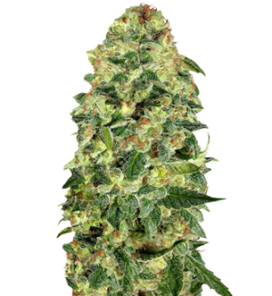 1744127777658.png 1744127777658.png