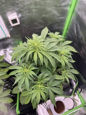 IMG_6385.jpeg IMG_6385.jpeg