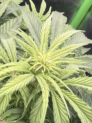 IMG_6393.jpeg IMG_6393.jpeg