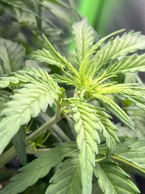 IMG_6395.jpeg IMG_6395.jpeg