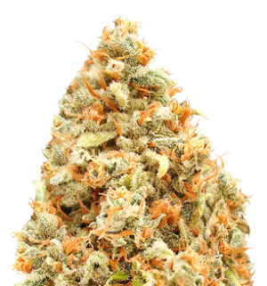 1744442705091.png 1744442705091.png