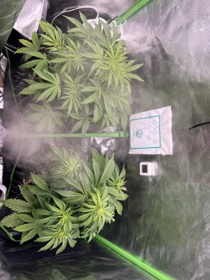 IMG_6421.jpeg IMG_6421.jpeg