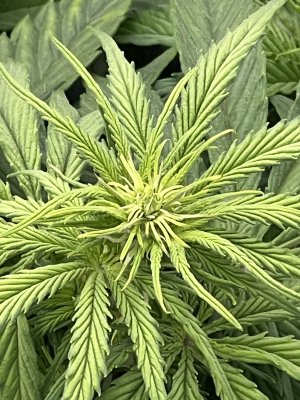 IMG_6420.jpeg IMG_6420.jpeg