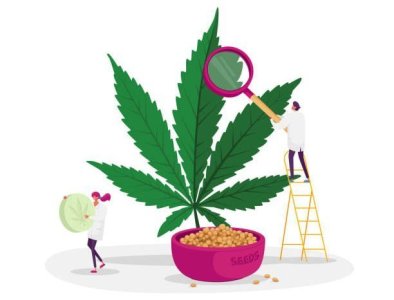 photo_2025-04-09_20-18-42.jpg.7329369f251a45ee18cb9e92b8fd5e25.jpg photo_2025-04-09_20-18-42.jpg.7329369f251a45ee18cb9e92b8fd5e25.jpg