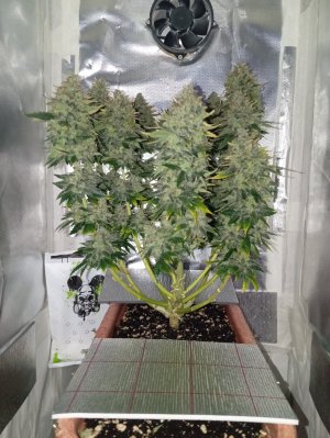 90 дн з.jpg 90 дн з.jpg