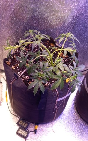 2024-11-21 21-13-30.JPG