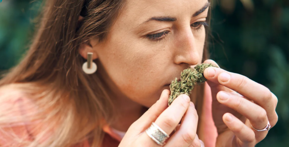 1745437172536.png 1745437172536.png