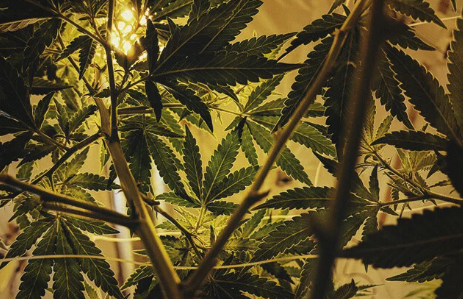 1745484887346.png 1745484887346.png