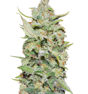 1745649190869.png 1745649190869.png