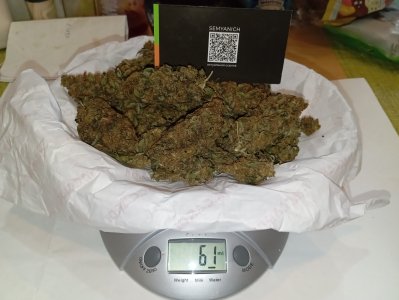 95 дн the end.jpg 95 дн the end.jpg