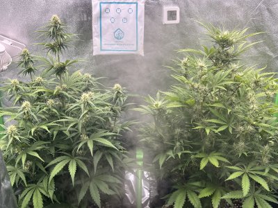 IMG_6711.jpeg IMG_6711.jpeg