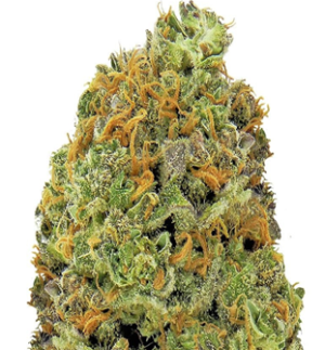 1746262612794.png 1746262612794.png