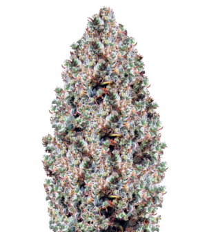 1746691193209.png 1746691193209.png