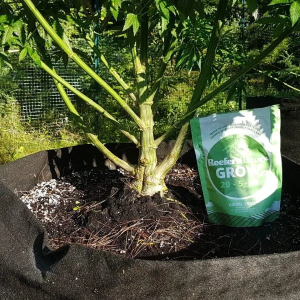 1746779823501.png 1746779823501.png