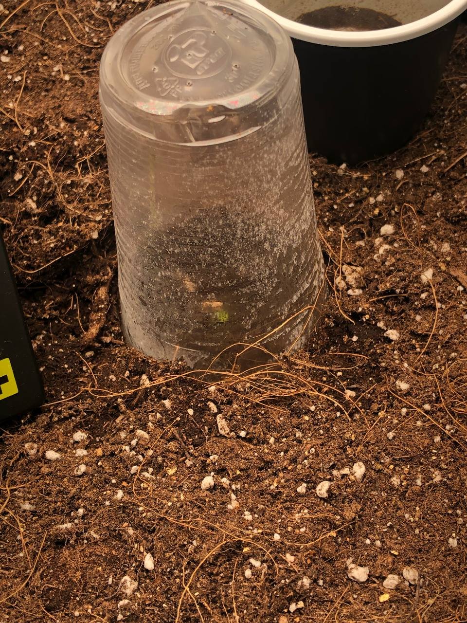 издали.jpg издали.jpg