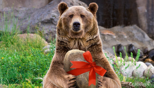 1649261211401.png 1649261211401.png